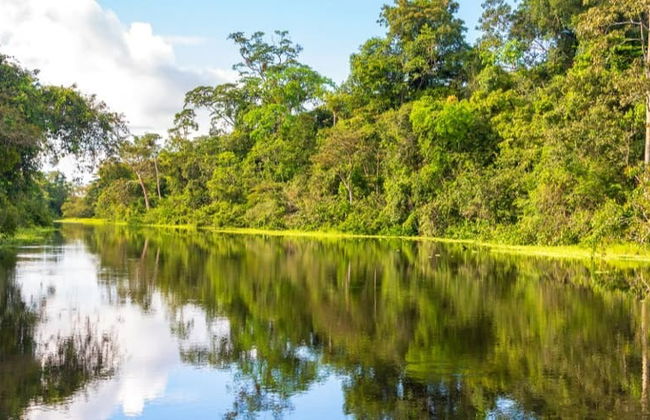 Excursión a los ríos Amazonas, Nanay y Momón - Foto 8