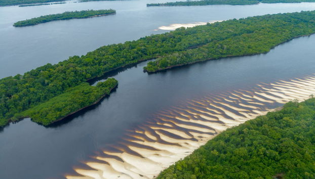 Amazon Jungle and Anavilhanas Islands Day Tour - Foto 4