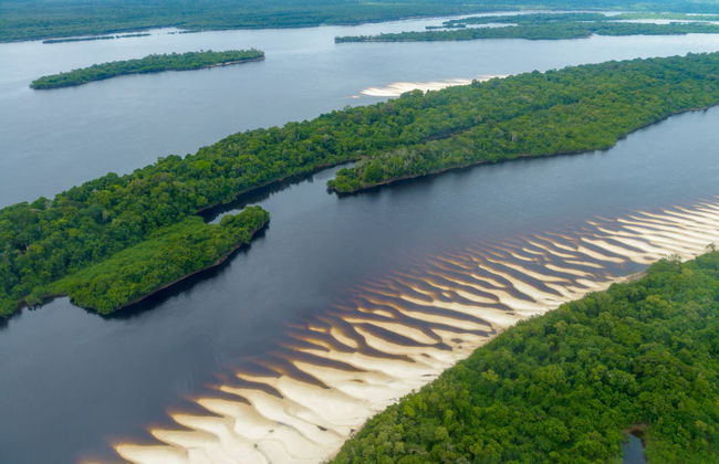 Amazon Jungle and Anavilhanas Islands Day Tour - Foto 4