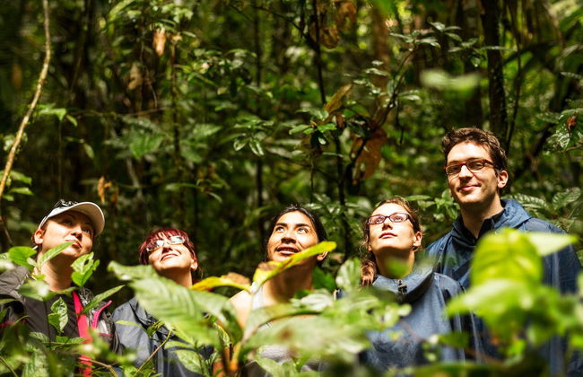 Amazon Jungle and Anavilhanas Islands Day Tour - Foto 1