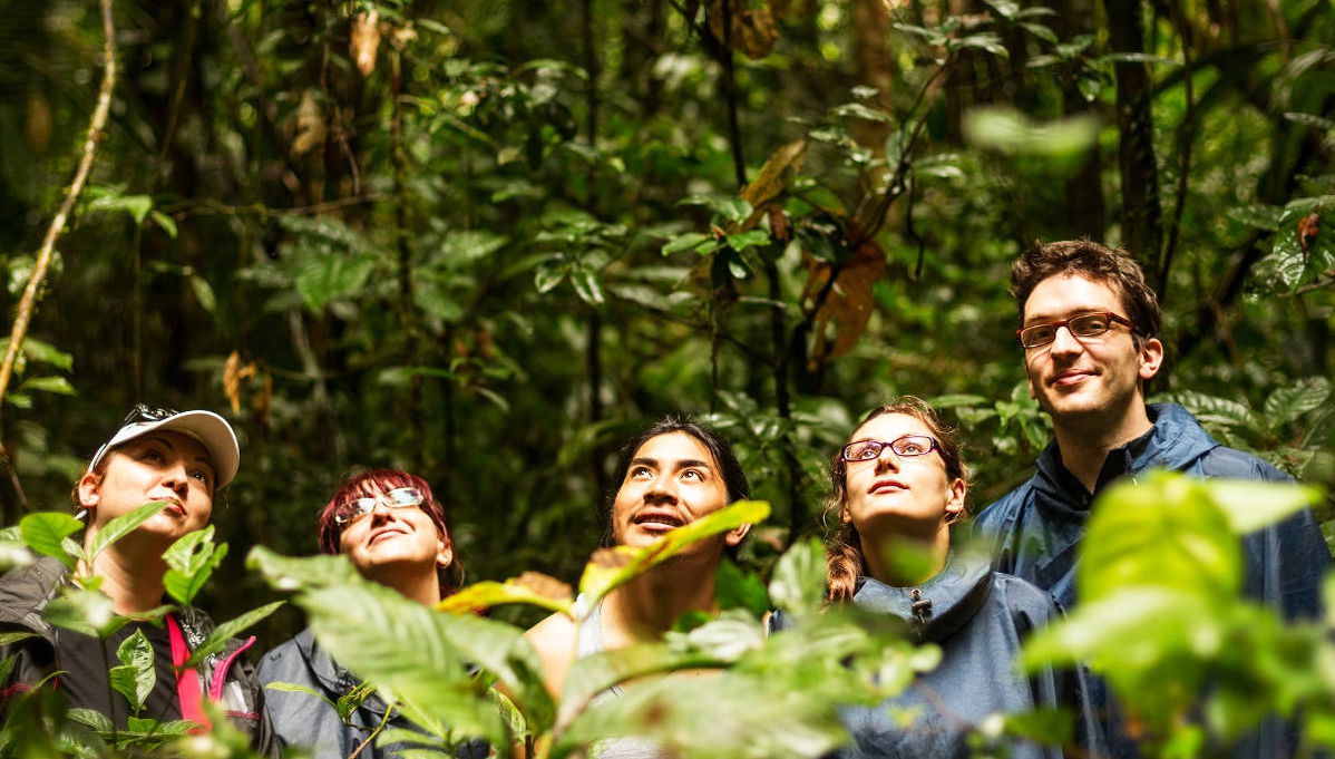 Amazon Jungle and Anavilhanas Islands Day Tour - Foto 1