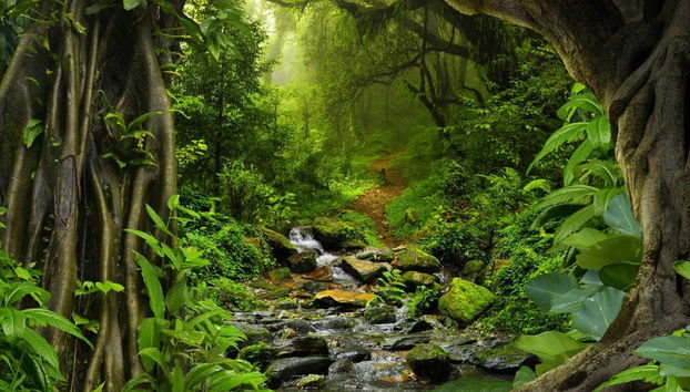 Amazon Jungle and Anavilhanas Islands Day Tour - Foto 2