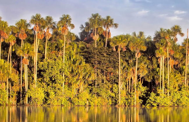 Trekking por la selva + Lago Sandoval - Foto 3