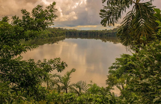 Lake Sandoval Amazon Trek - Foto 6