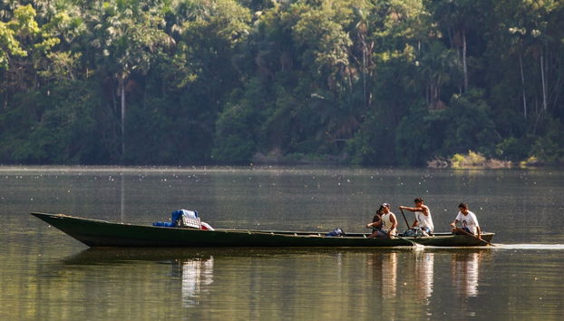 Lake Sandoval Amazon Trek - Foto 3