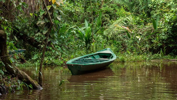 Lake Sandoval Amazon Trek - Foto 4