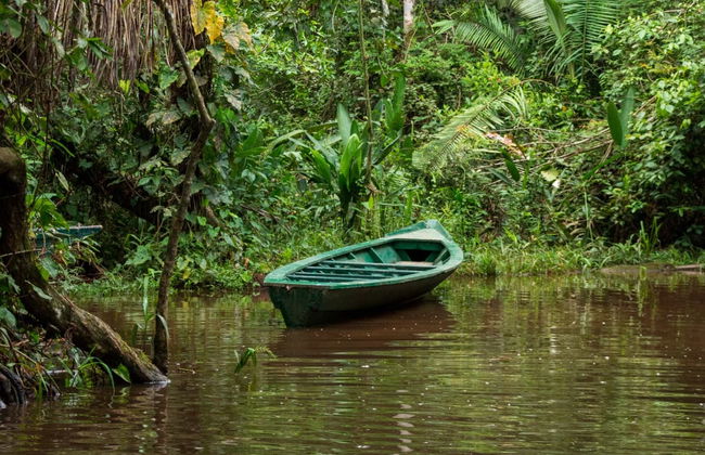 Lake Sandoval Amazon Trek - Foto 4