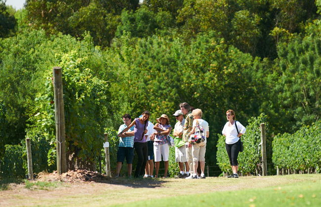 Visita a la Bodega Bouza - Foto 3