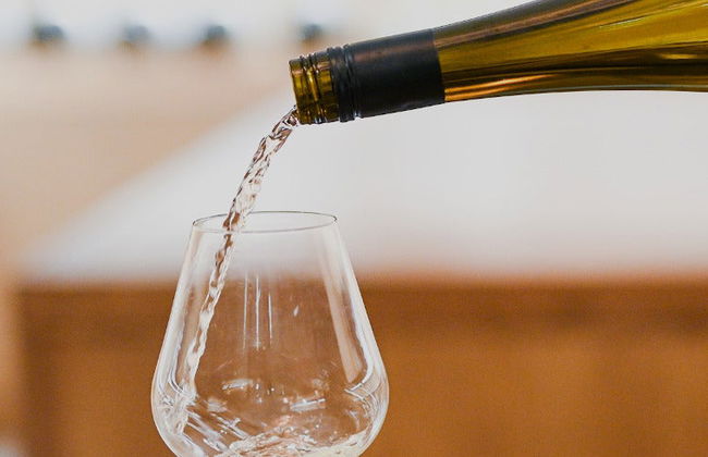 Visita a la Bodega Bouza - Foto 8