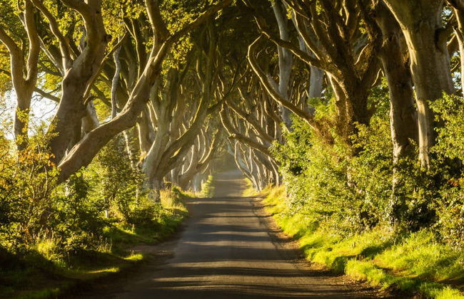 Tour delle location de Il Trono di Spade + Giant's Causeway - Foto 3