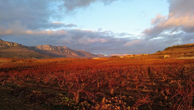 Excursions privées depuis Logroño - Photo 4