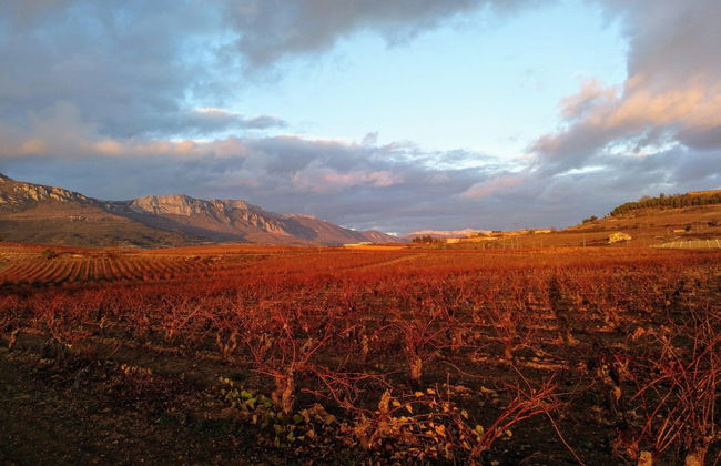 Logroño Private Day Trip - Photo 4