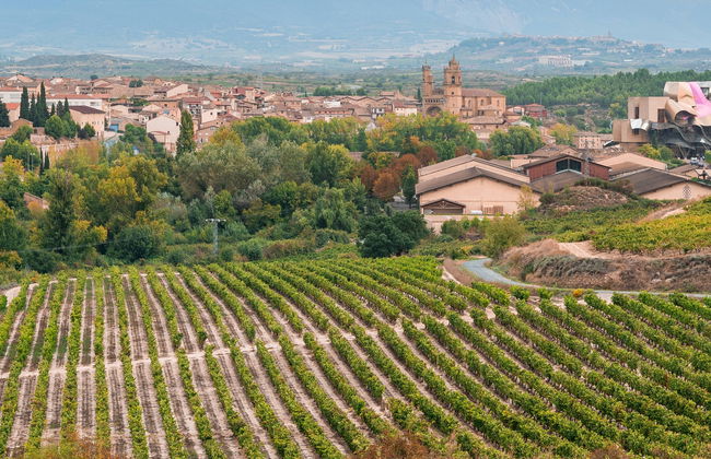 Excursión privada desde Logroño - Foto 4