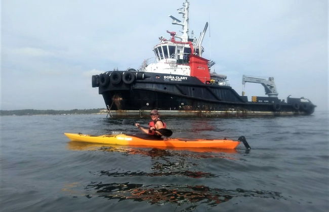 Tour en kayak por Punta Arena - Foto 6
