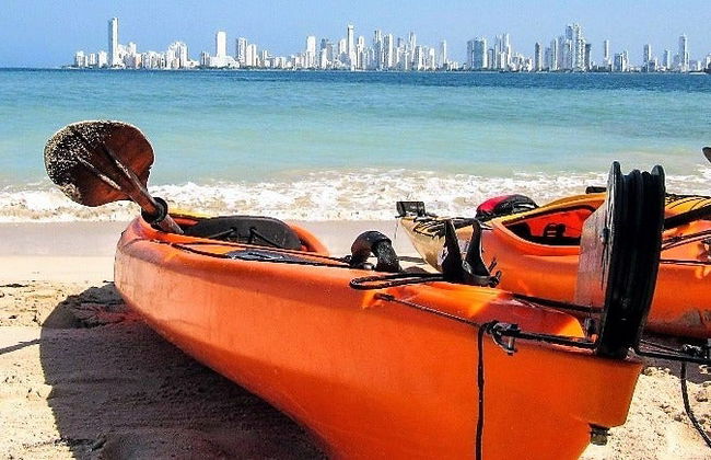 Tour en kayak por Punta Arena - Foto 7