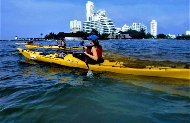 Tour en kayak por Punta Arena - Foto 2