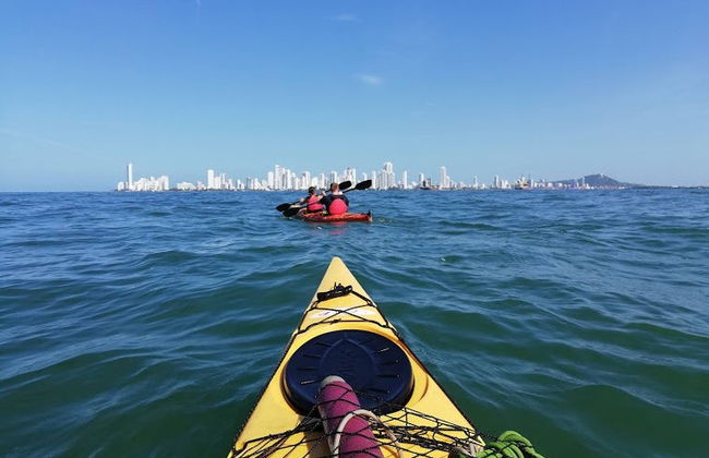 Tour en kayak por Punta Arena - Foto 3