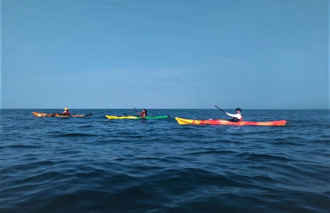 Tour en kayak por Punta Arena - Foto 4