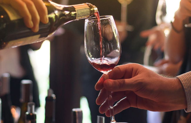 Visita às vinícolas Vini Gambino - Foto 6