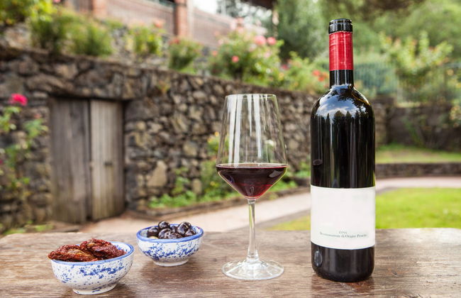 Visita às vinícolas Vini Gambino - Foto 2