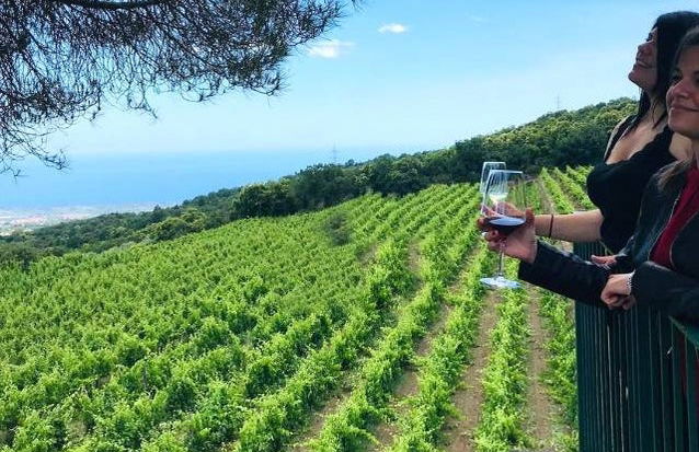 Visita às vinícolas Vini Gambino - Foto 5