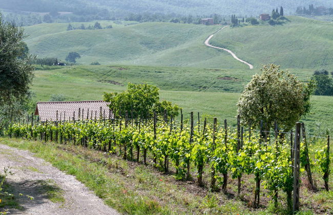 Pecorino Cheese and Wine Tour - Photo 3