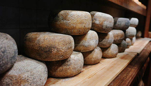 Pecorino Cheese and Wine Tour - Foto 2