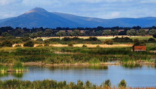 Senderismo por las Tablas de Daimiel - Foto 3