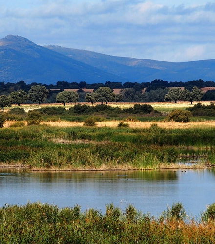 Foto de Senderismo por las Tablas de Daimiel