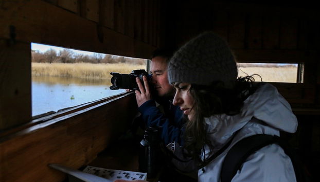 Senderismo por las Tablas de Daimiel - Foto 2
