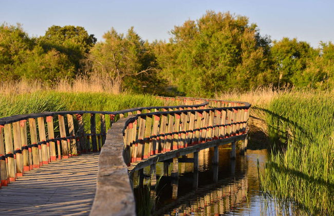Senderismo por las Tablas de Daimiel - Foto 1