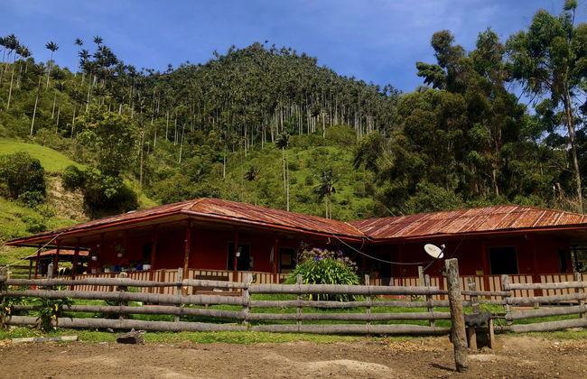 Excursión al volcán Machín - Foto 5