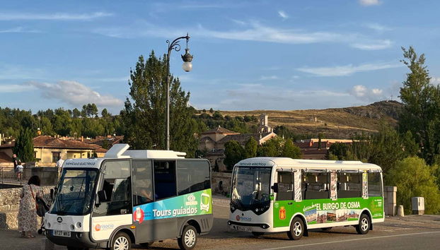 El Burgo de Osma Sightseeing Tour - Foto 5