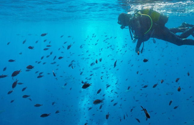 Curso de buceo PADI Open Water - Foto 8