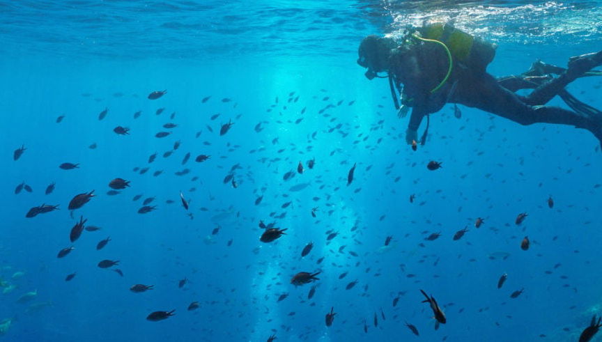 Cours de plongée PADI Open Water