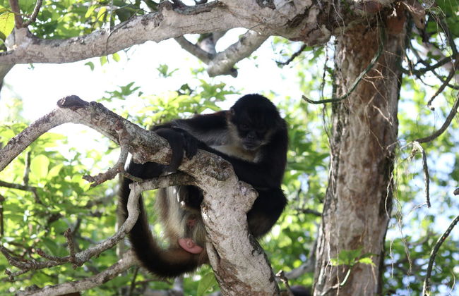 Excursión a los Tuxtlas y Catemaco - Foto 2