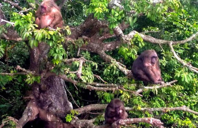 Los Tuxtlas and Catemaco Trip - Foto 3