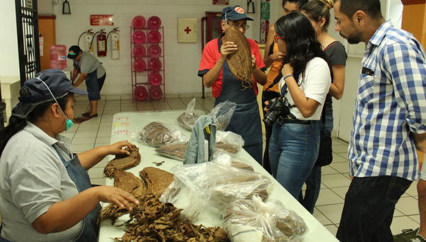 Excursão a Los Tuxtlas e Catemaco - Foto 2