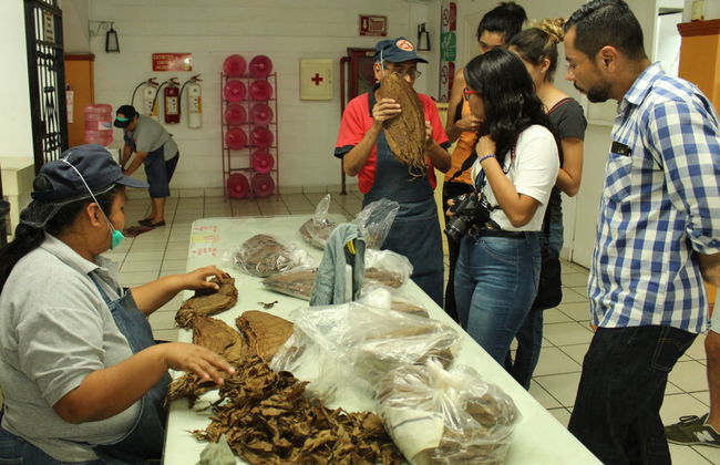 Los Tuxtlas and Catemaco Trip - Foto 2