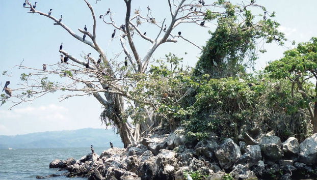 Excursão a Los Tuxtlas e Catemaco - Foto 4