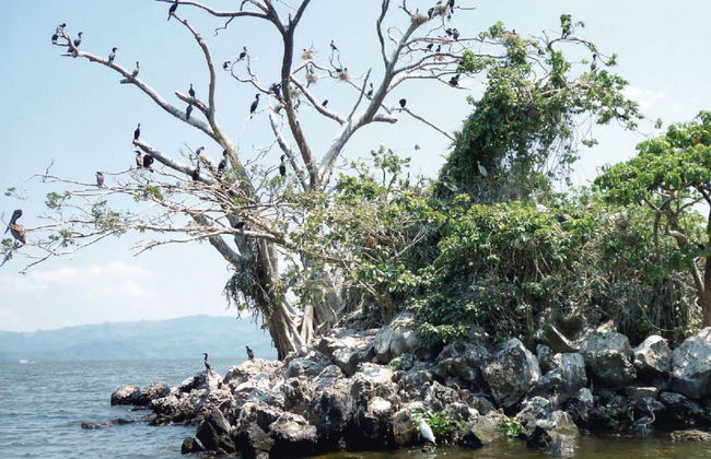 Los Tuxtlas and Catemaco Trip - Foto 4