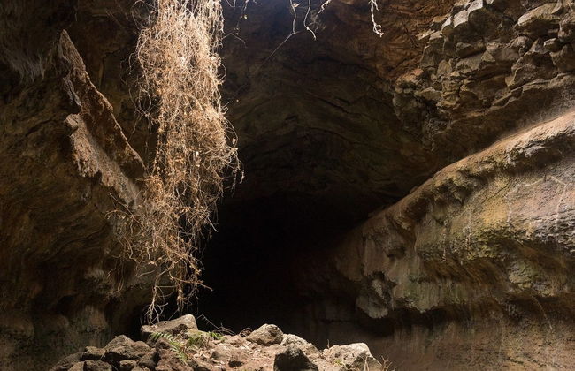 Excursión a la reserva de tortugas gigantes El Chato - Foto 3