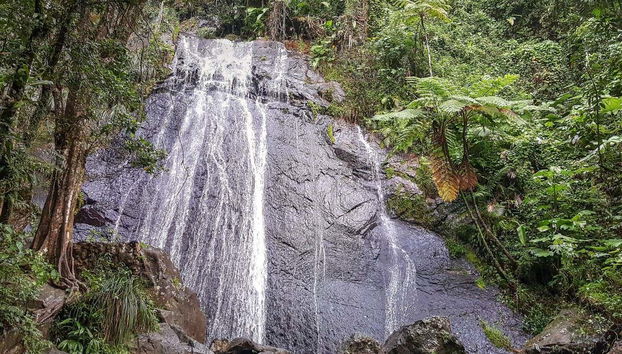Excursión al Bosque Nacional El Yunque - Foto 2