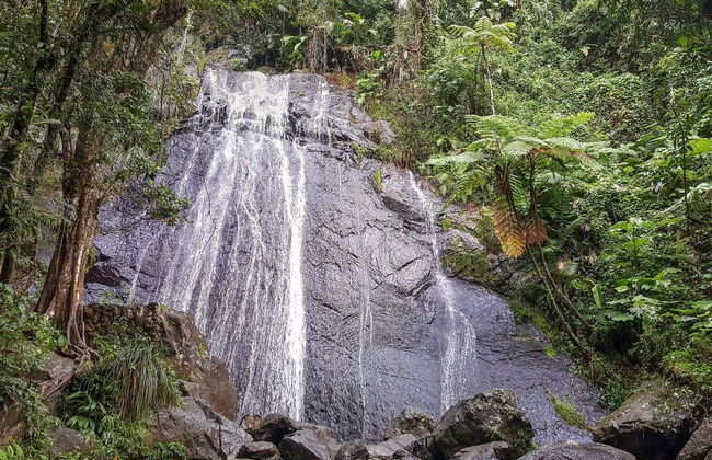 Excursión al Bosque Nacional El Yunque - Foto 2