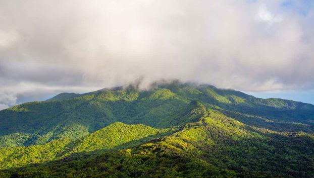 Excursión al Bosque Nacional El Yunque - Foto 3