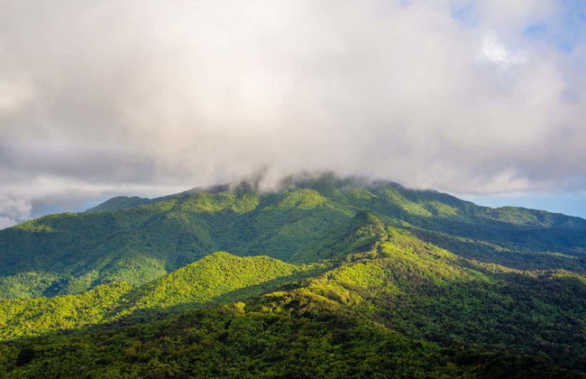 Excursión al Bosque Nacional El Yunque - Foto 3