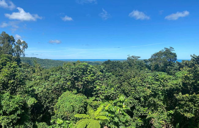 Excursión al Bosque Nacional El Yunque - Foto 7