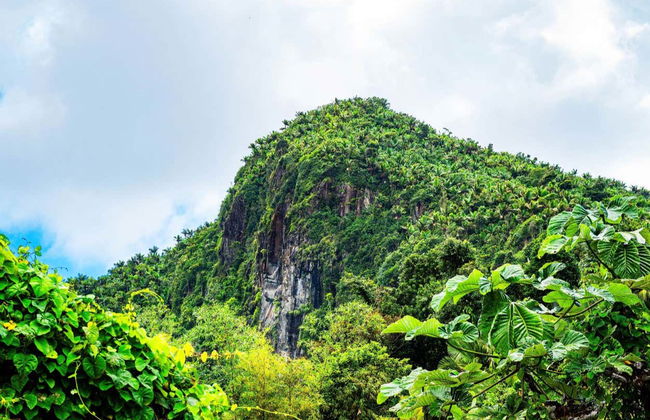 Excursión al Bosque Nacional El Yunque - Foto 6