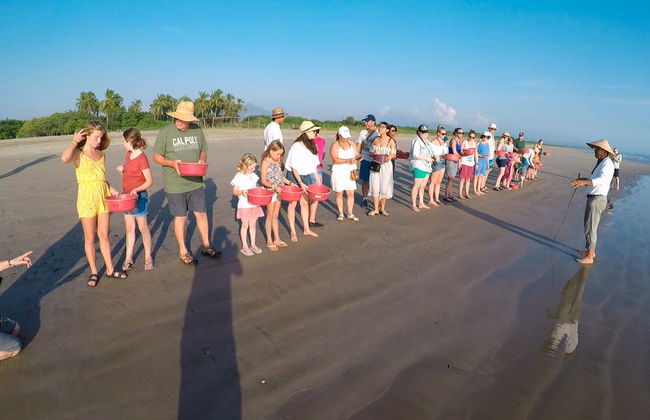 Ixtapa Zihuatanejo Sea Turtle Release - Foto 4