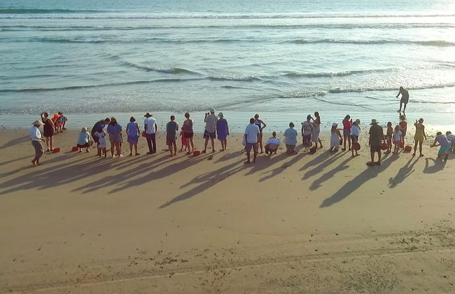 Ixtapa Zihuatanejo Sea Turtle Release - Foto 5